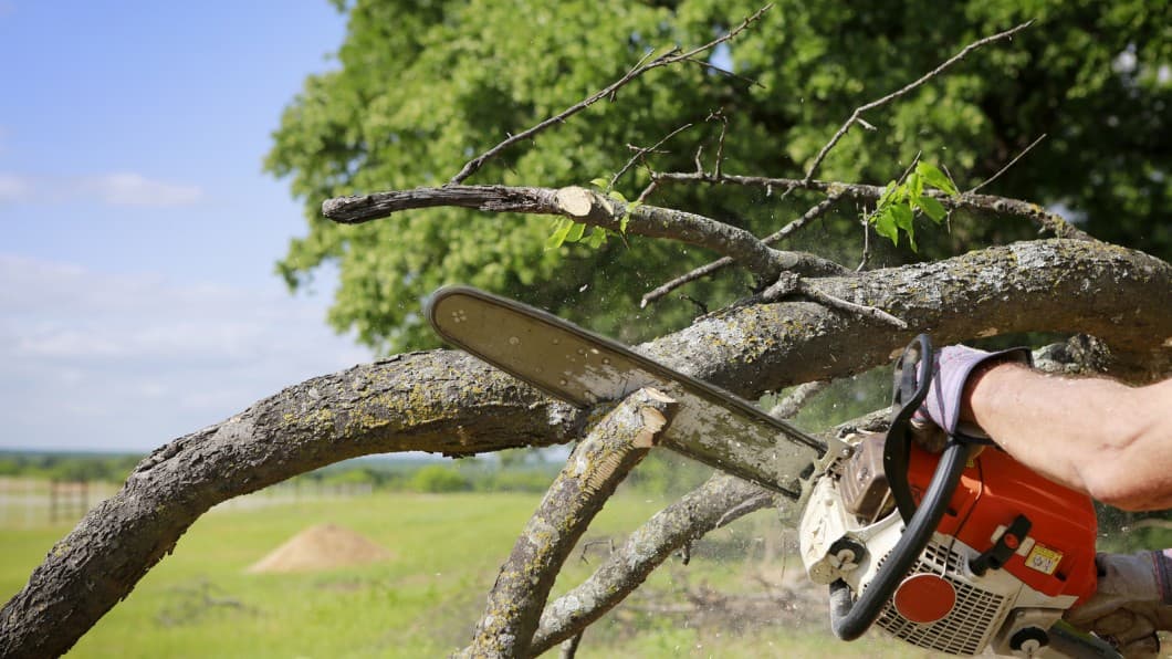 Hawkins Tree and Landscaping