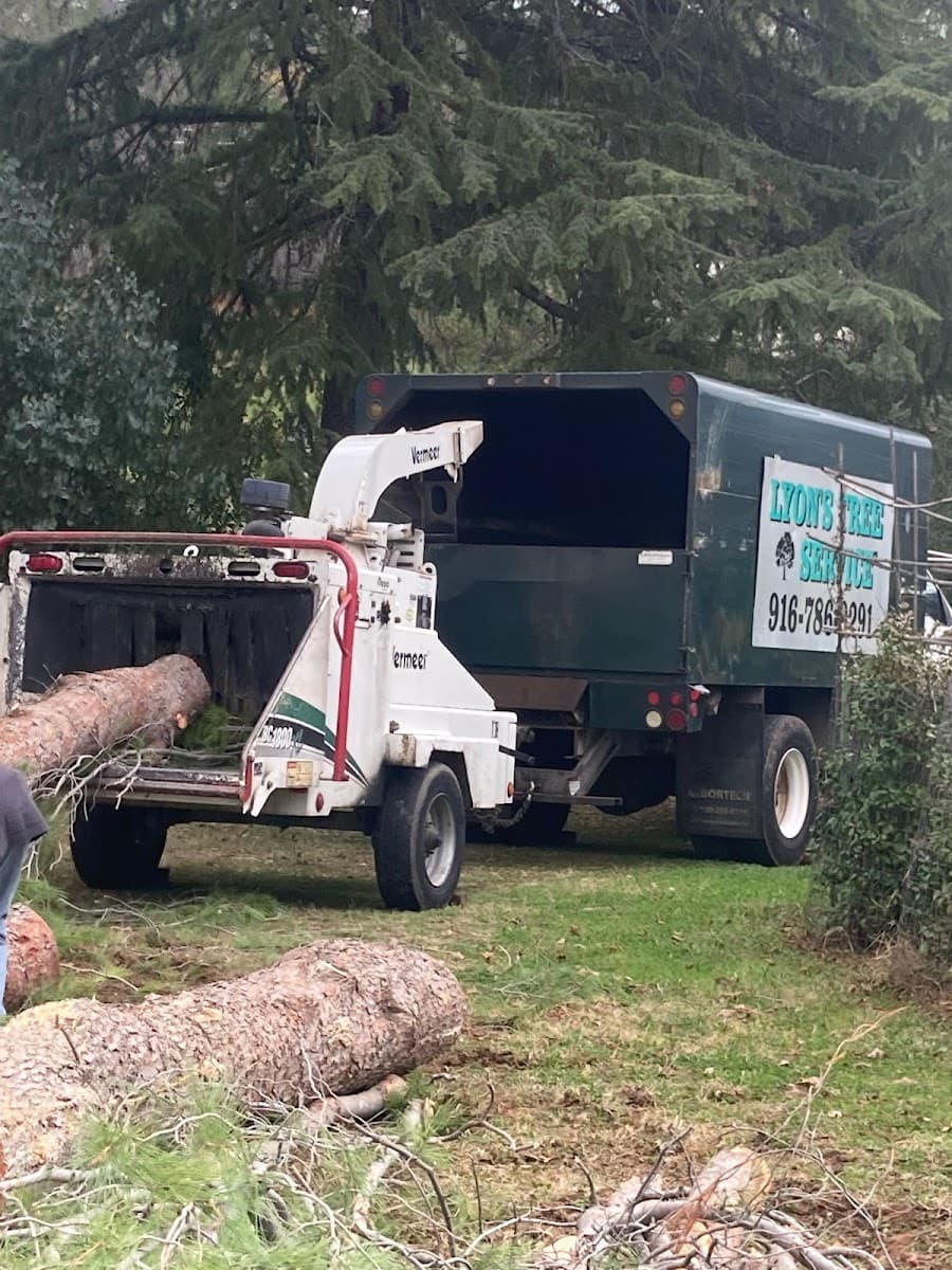 Lyons Tree Service Auburn
