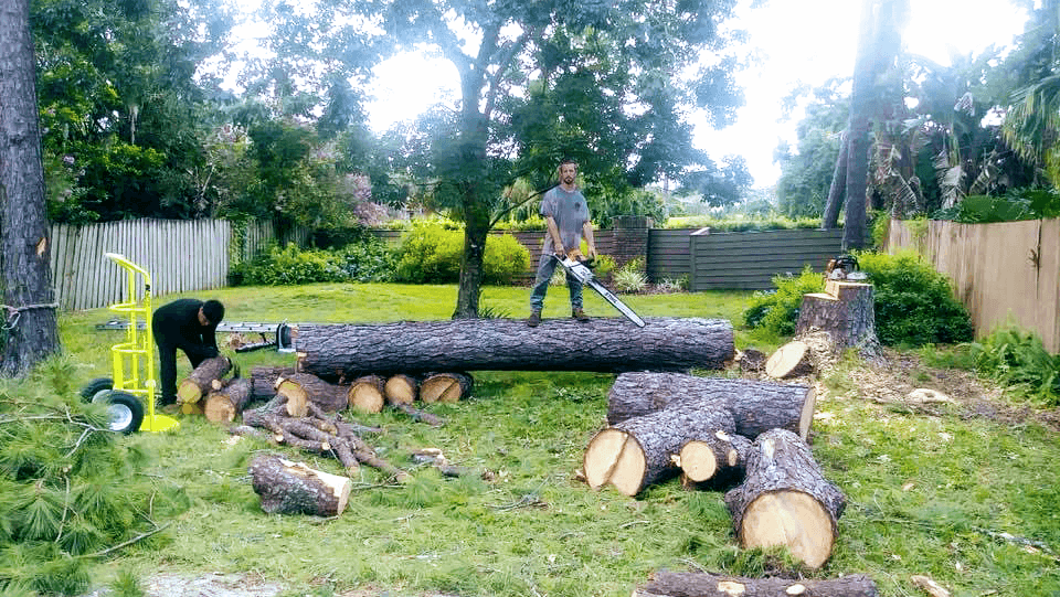 Crosby tree solutions LLC