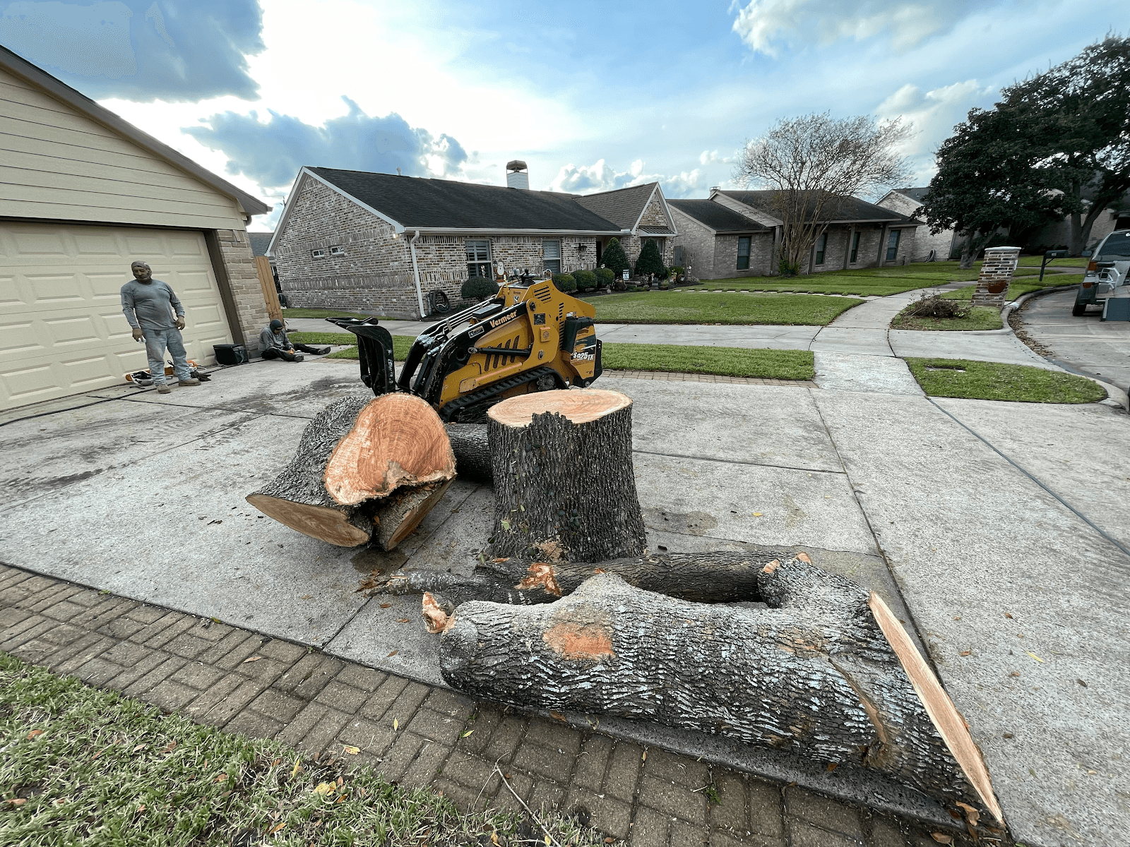 Gabby's Tree Service