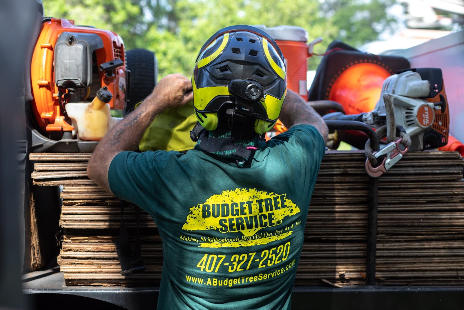 A Budget Tree Service