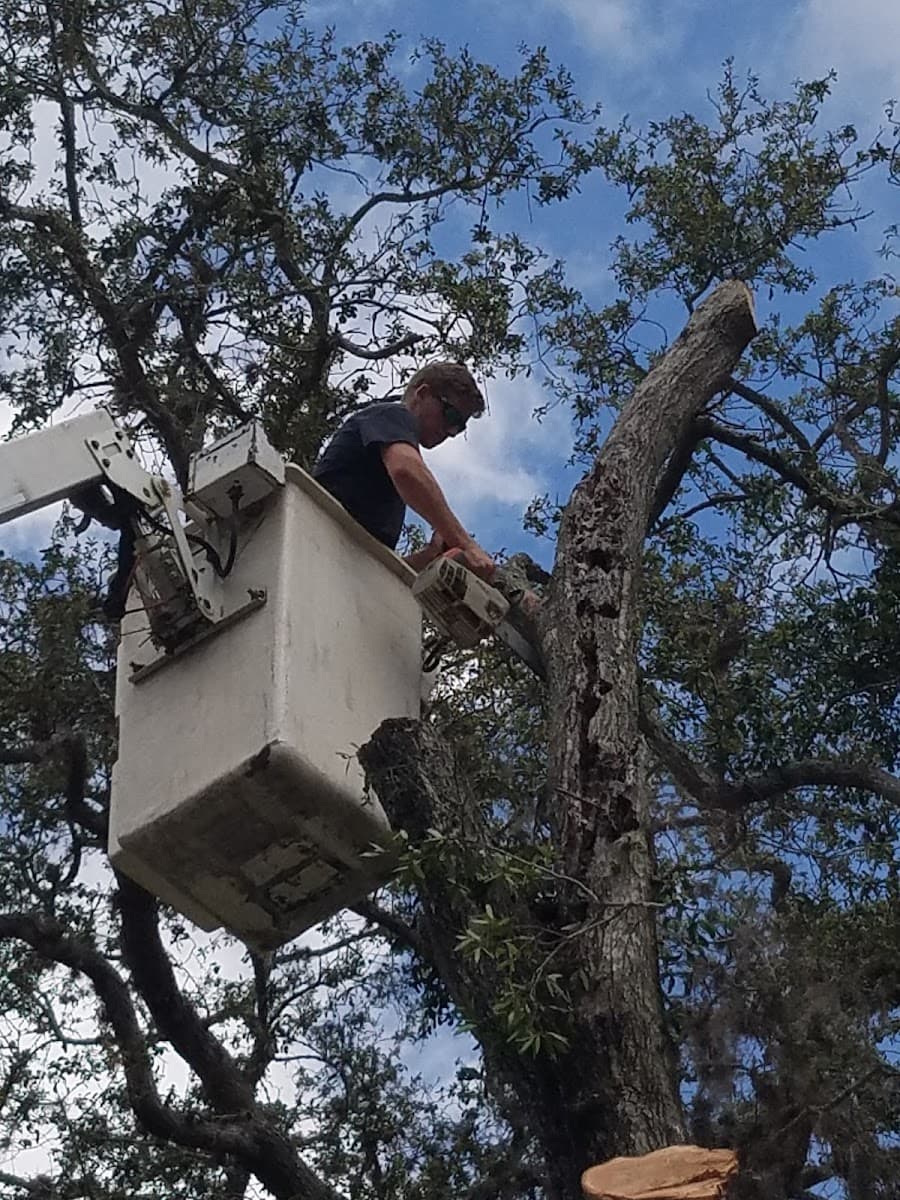 Hobbs Tree Service