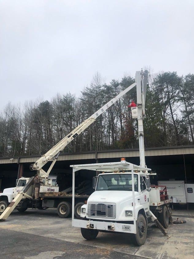 Paul Bunyan Tree Service