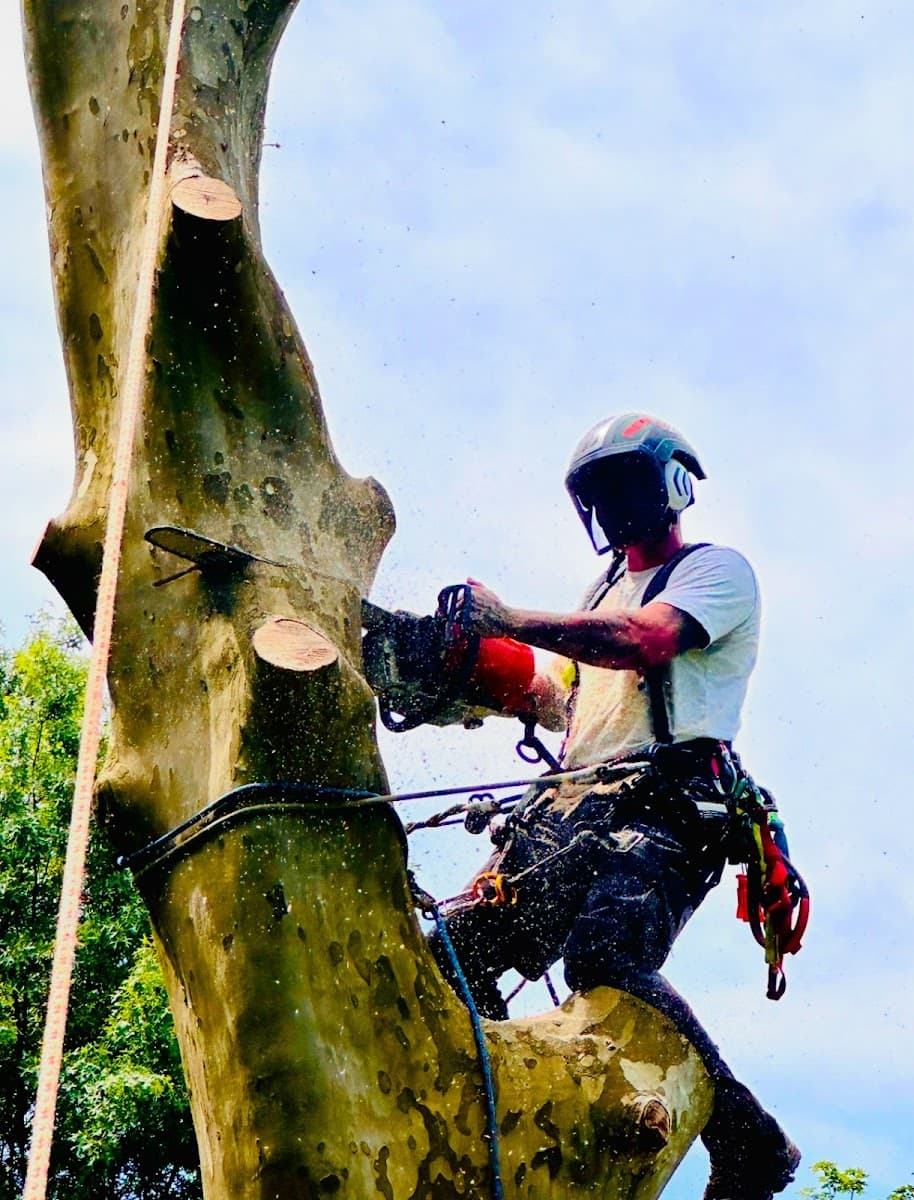 Burds Tree Service LLC