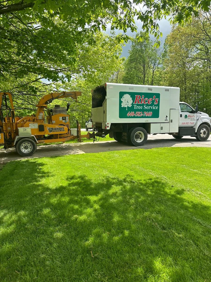 Rice's Tree Service & Landscaping