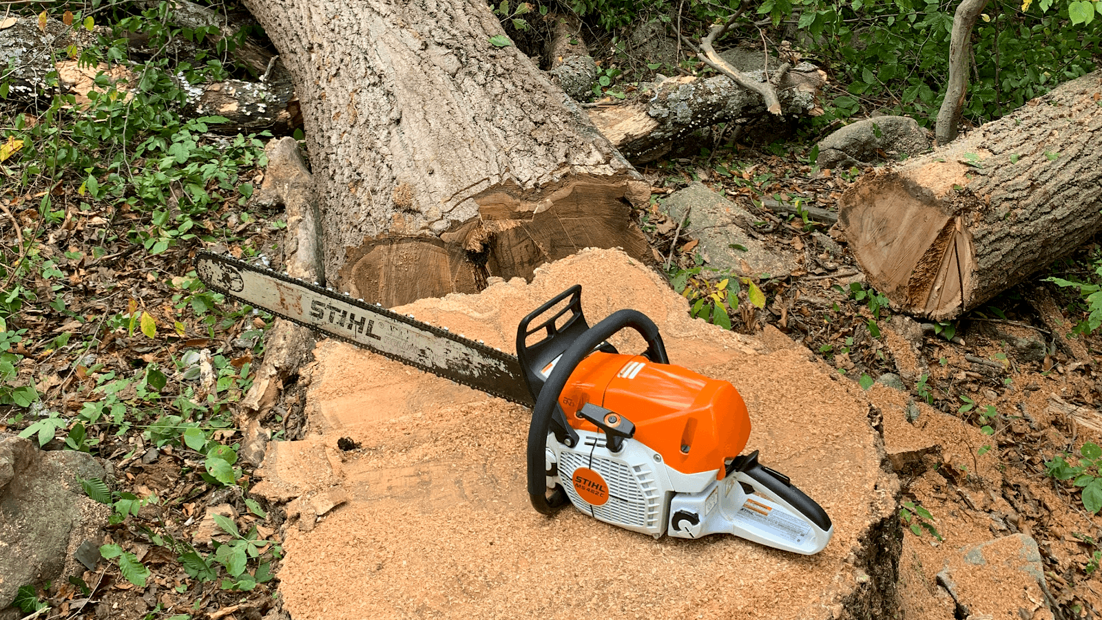 Love's Tree Service & Systems