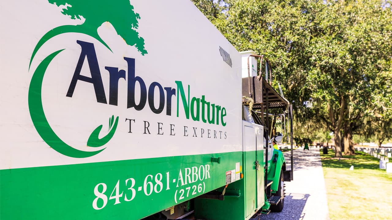 ArborNature Tree Experts