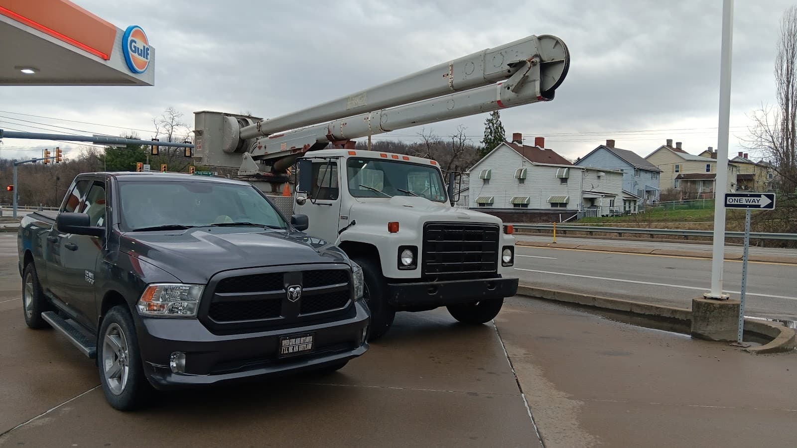 Tree Frog Arboriculture