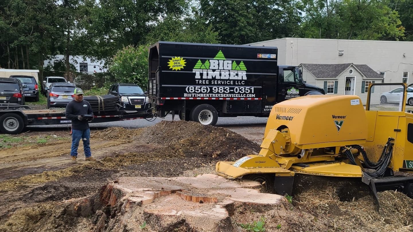 Big Timber Tree Service LLC