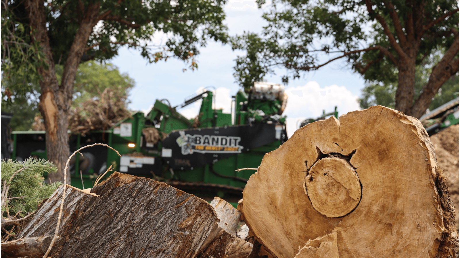 N&D Tree & Crane Services