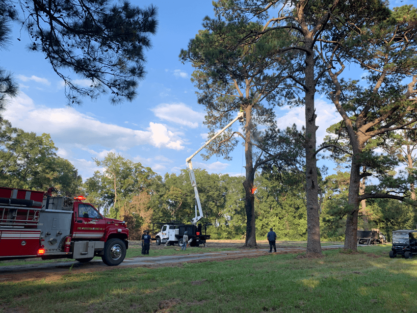 HLA Lawn & Tree Services