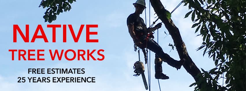 Native Tree Works