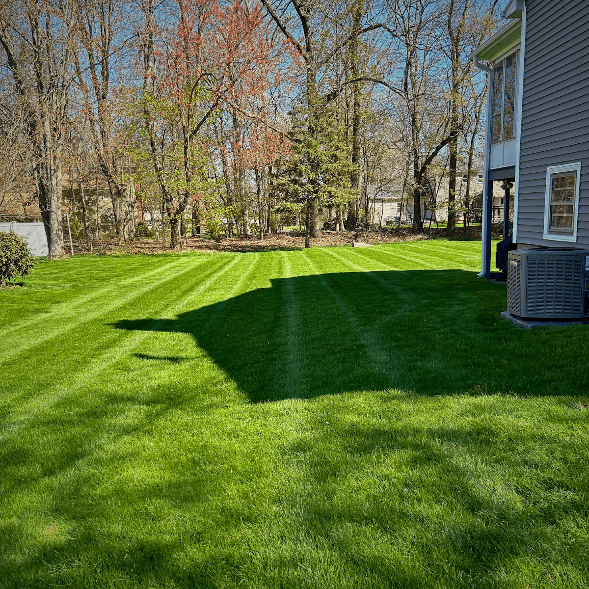 Battle Buddies Landscaping & Lawn Care under Forest Rose LLC