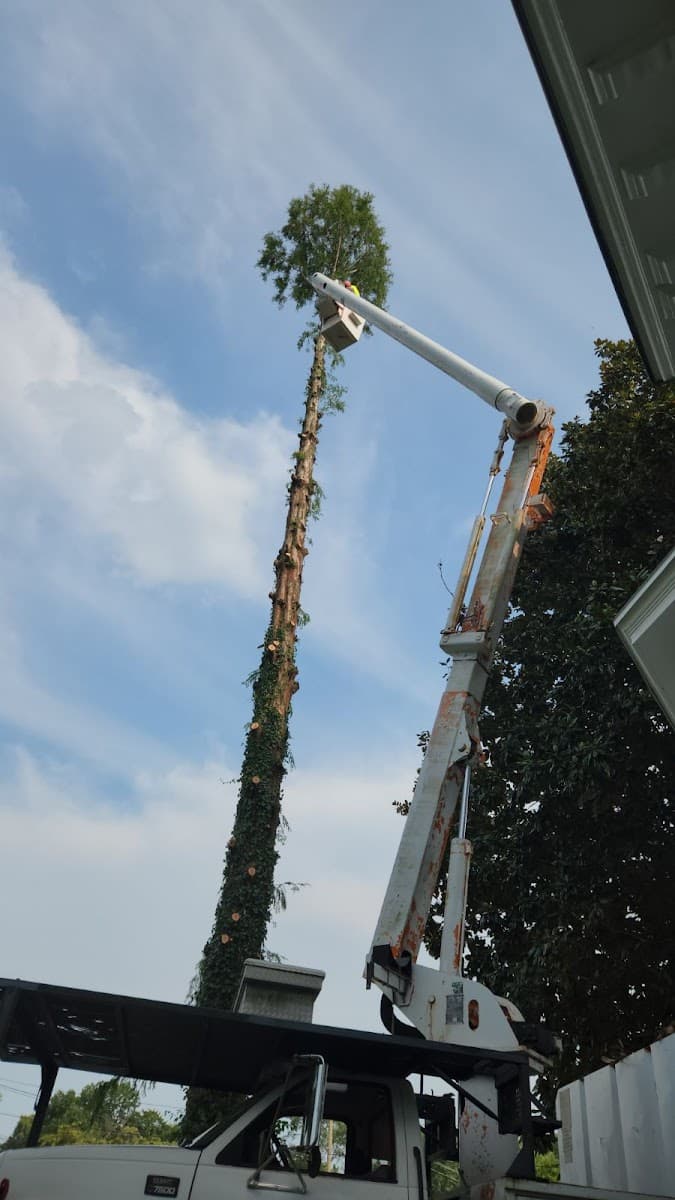 Thomas Tree Services