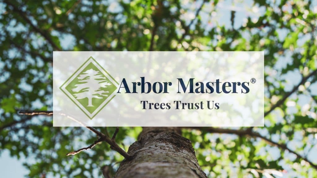 Arbor Masters of Parkville