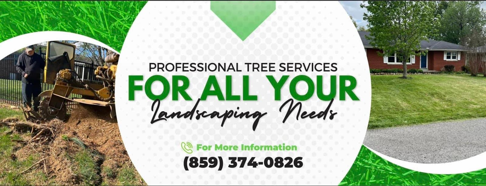 Calvo’s Tree Service & Landscape LLC