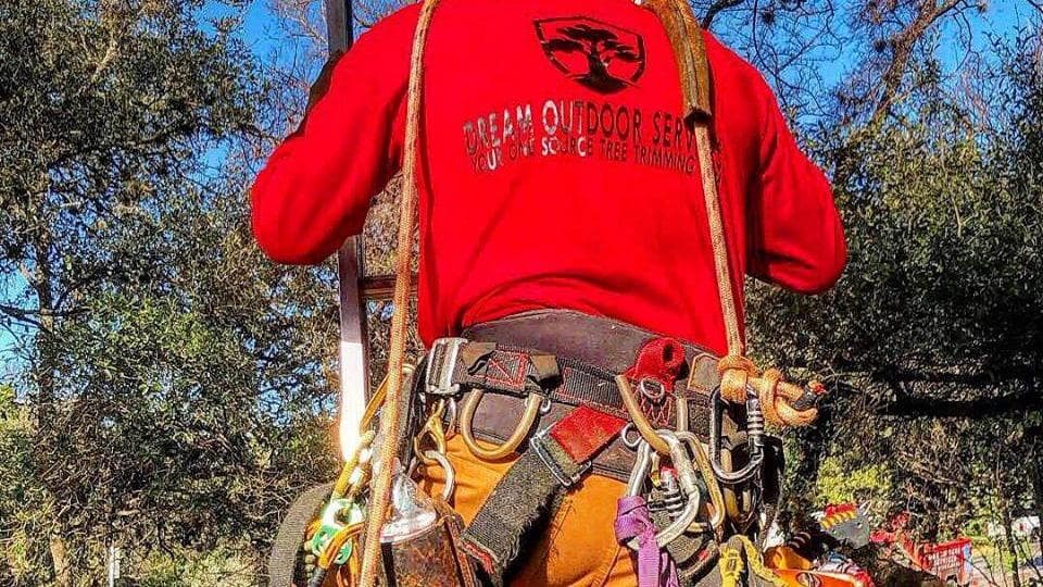 Dream Tree Services