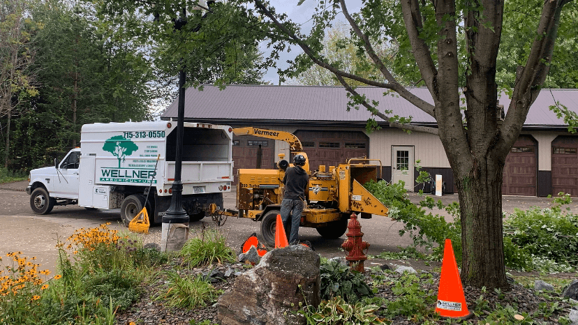 Wellner Arboriculture