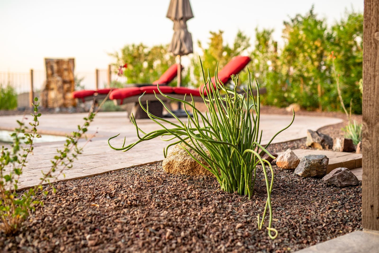 Wickenburg Landscape