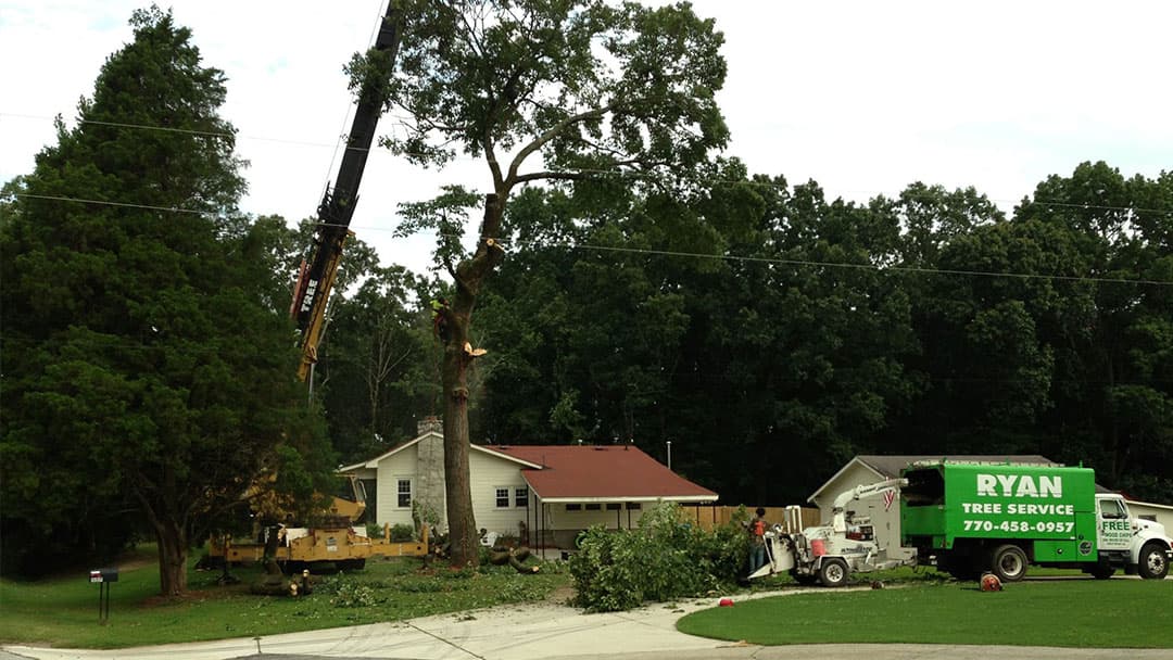 Ryan Tree Service, Inc.