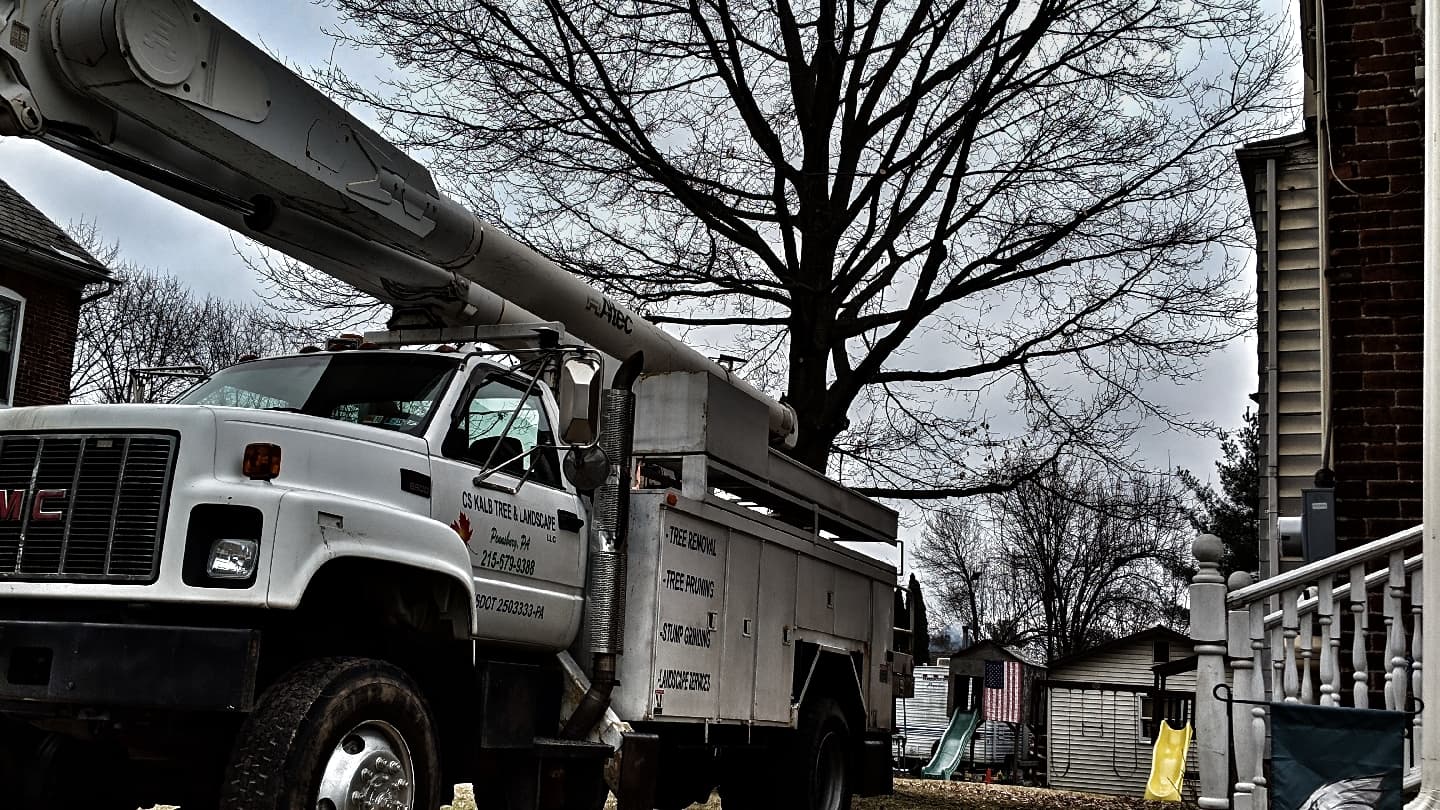 CS Kalb Tree & Landscape LLC