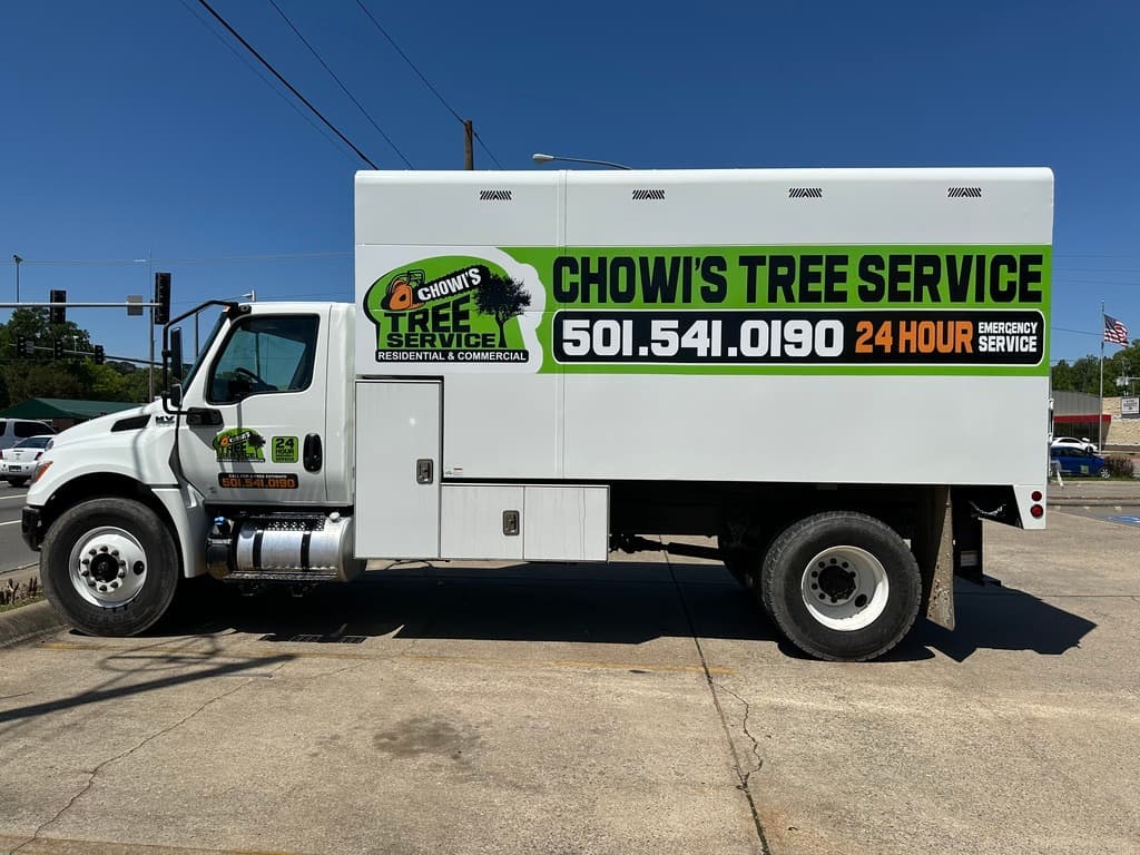 Chowi's Tree Service