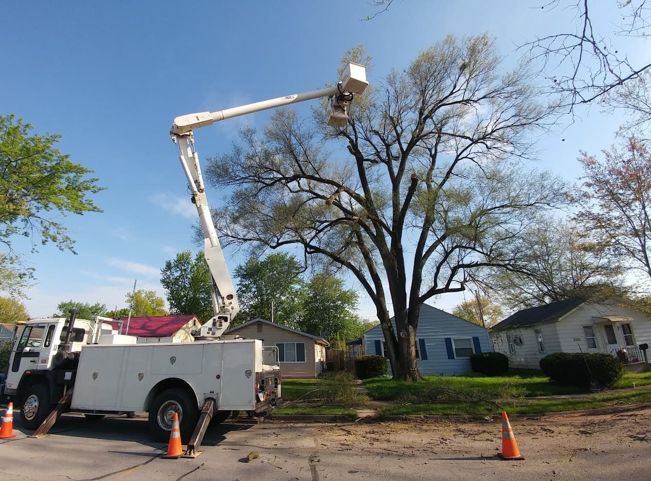S & A Tree Service Fort Wayne