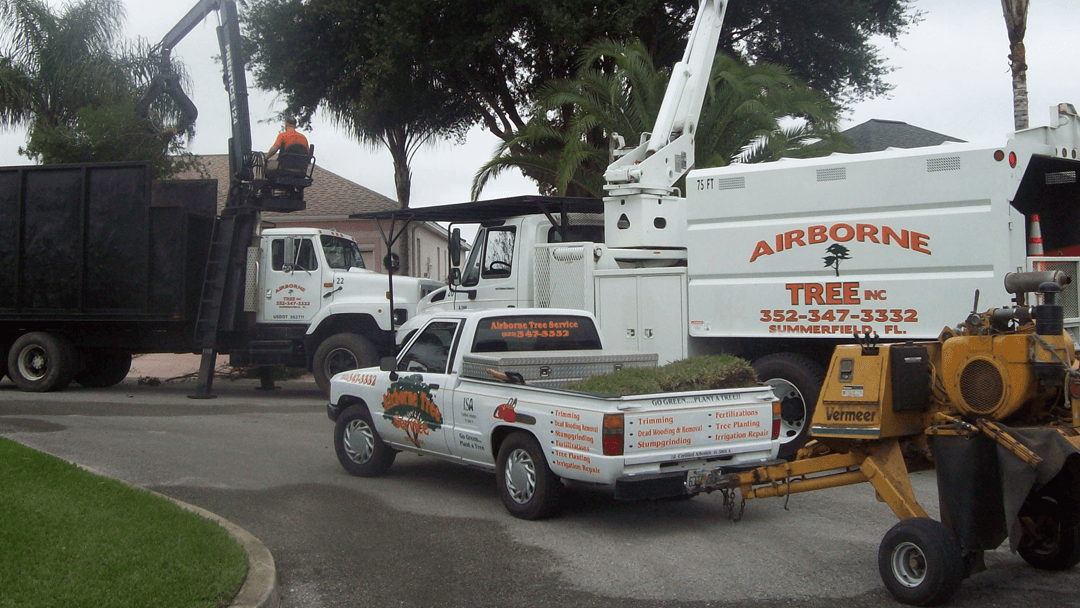 Airborne Tree Service