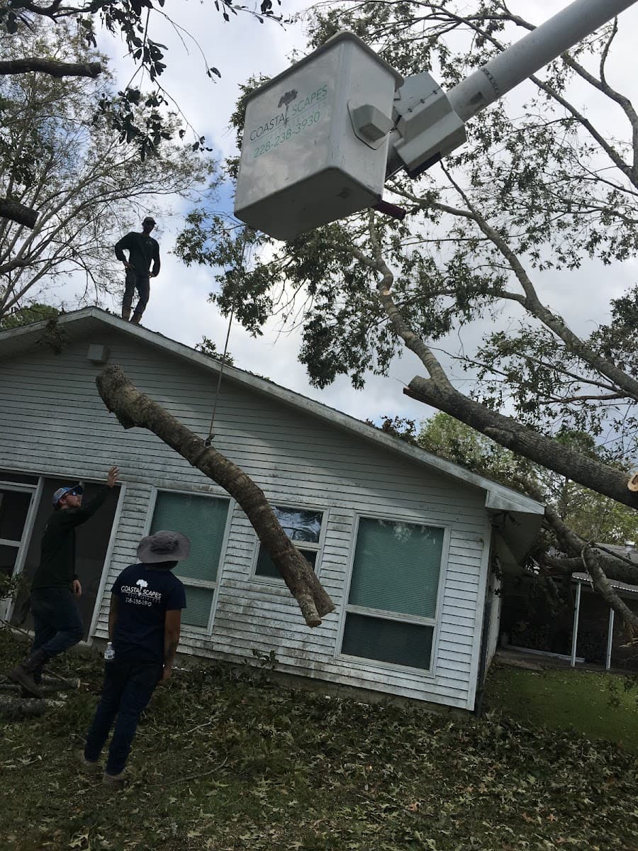 Coastal Scapes LLC. - Tree Services
