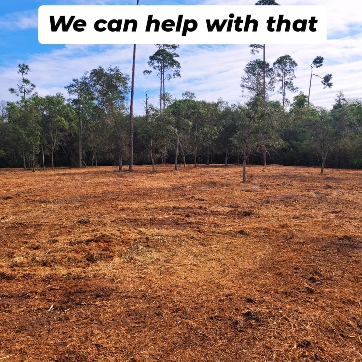 Clint's Land Services LLC