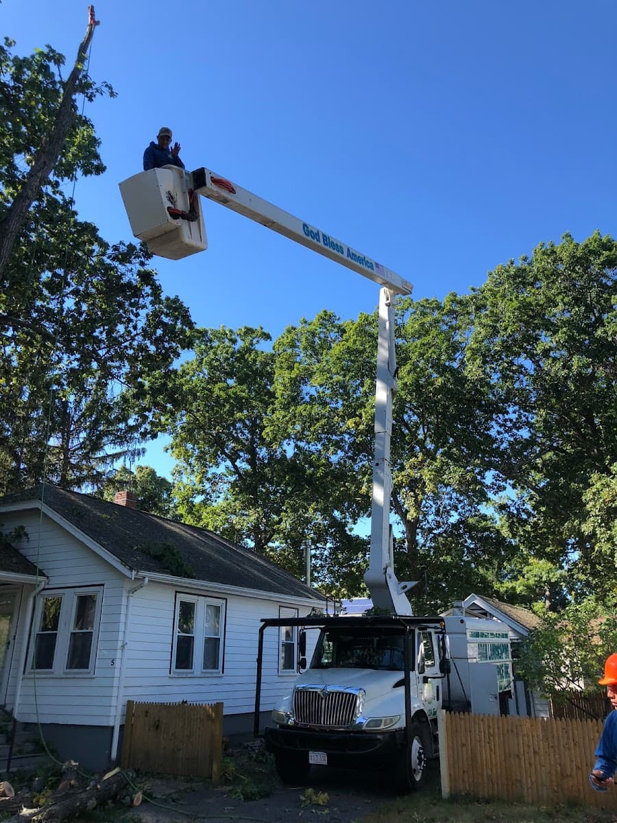 Adan Landscaping & Tree Services Inc