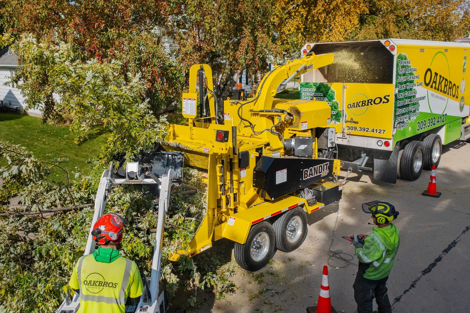 Oak Bros Tree Care & Removal LLC