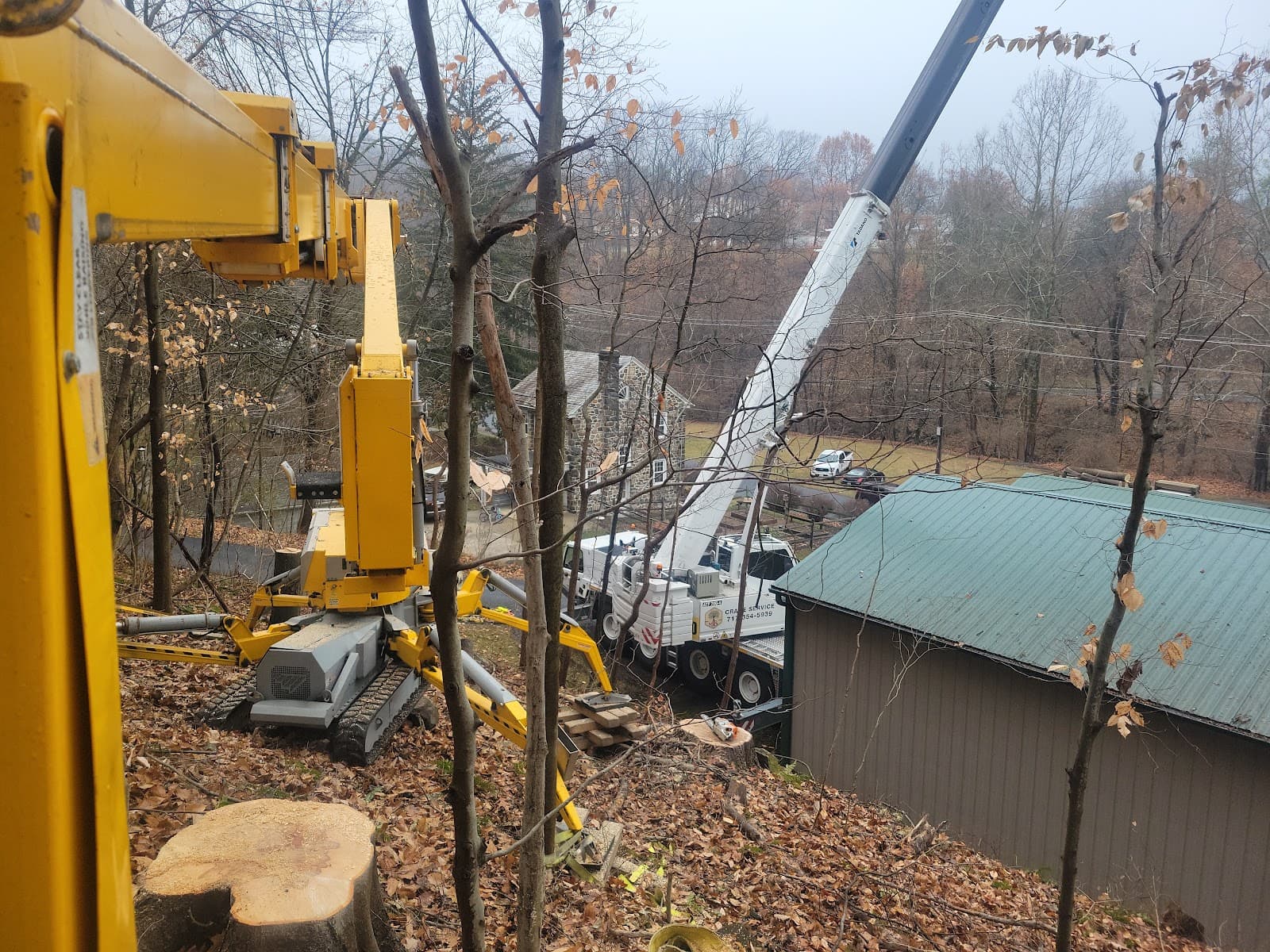 Martin Tree Service, LLC