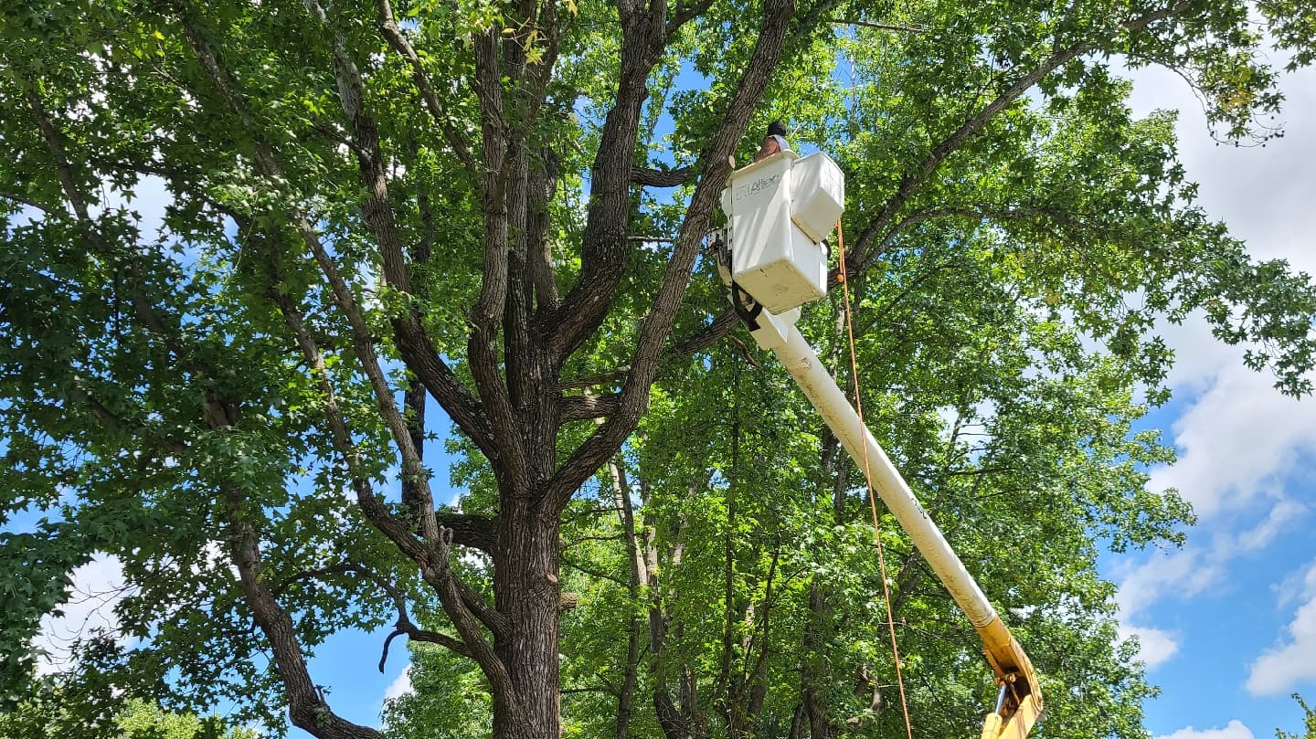 Smitty's Tree Service