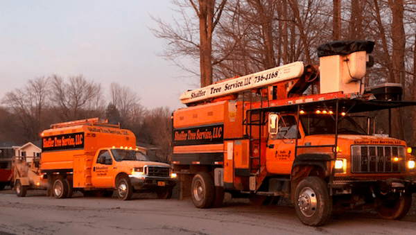 Shaffer Tree Services