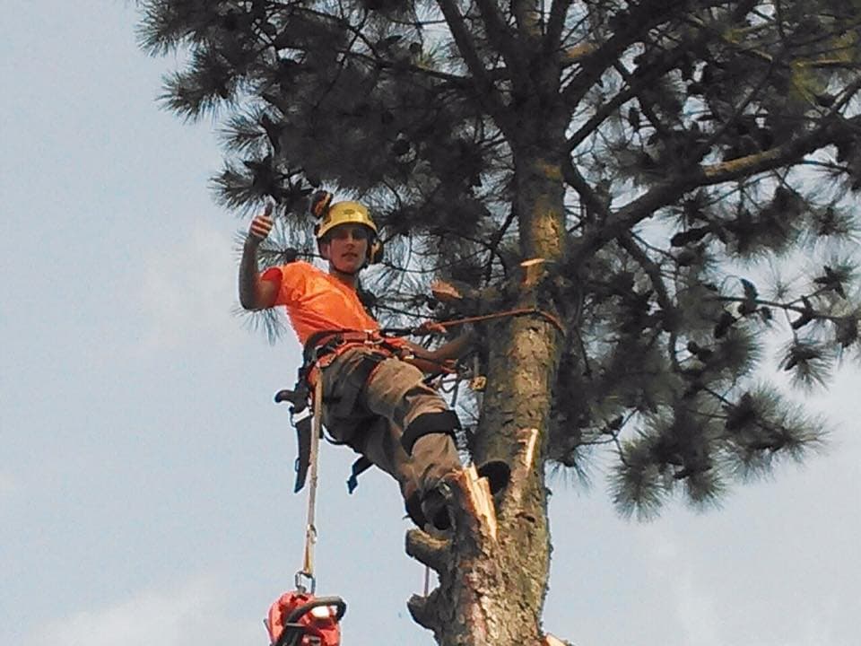Adam's Tree Care Inc.