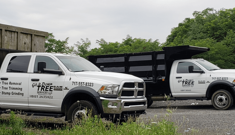 Git R Down Tree Service