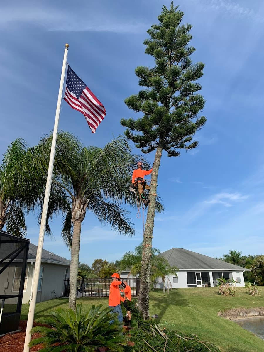 Indian River Tree Solutions