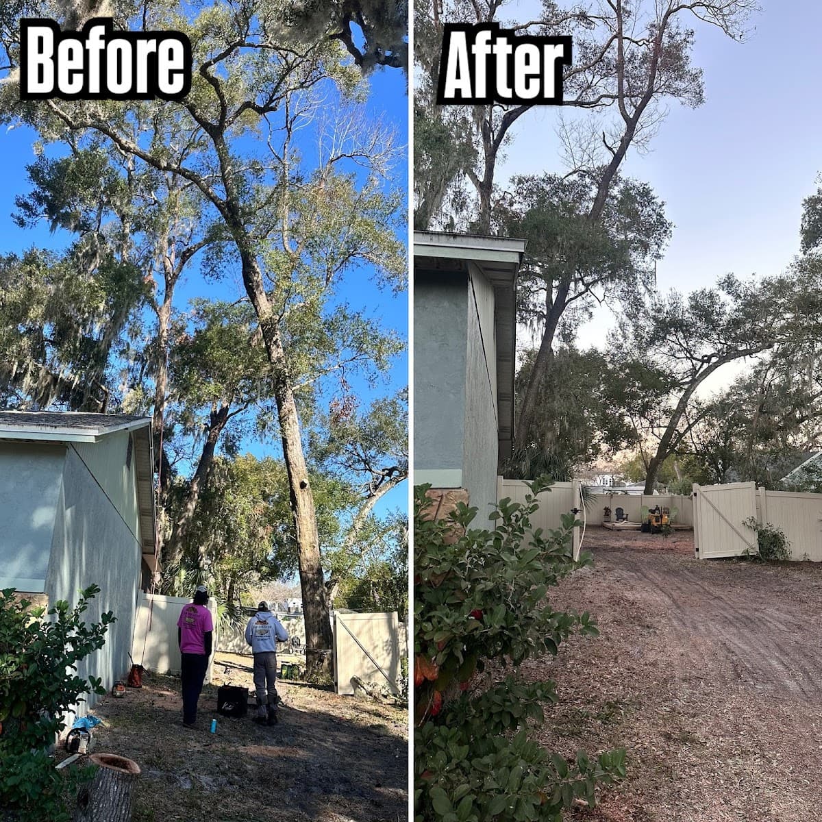 Rise and Grind Tree Solutions LLC