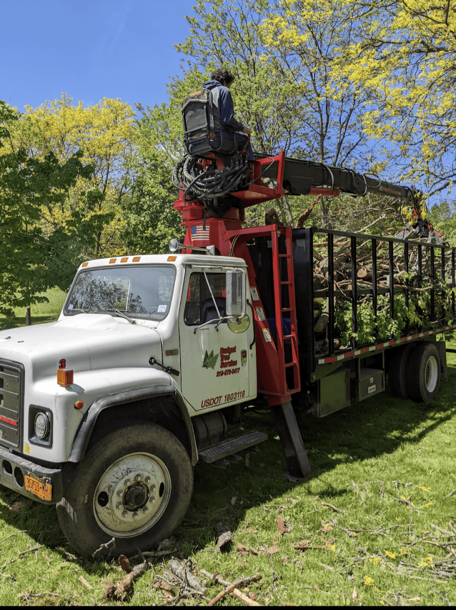 Budget Tree Services