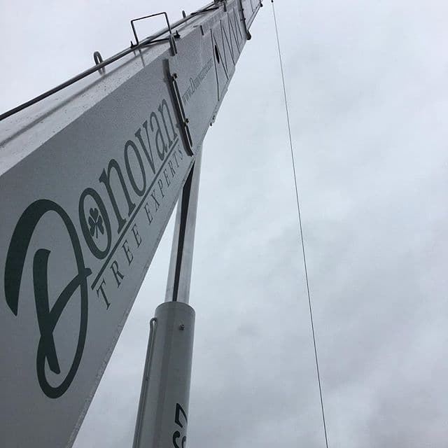 Donovan Tree Experts, LLC