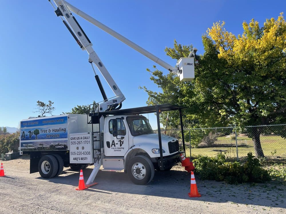 A-1 Tree and Hauling Services