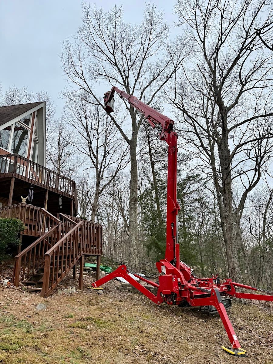 Patriot Tree Service