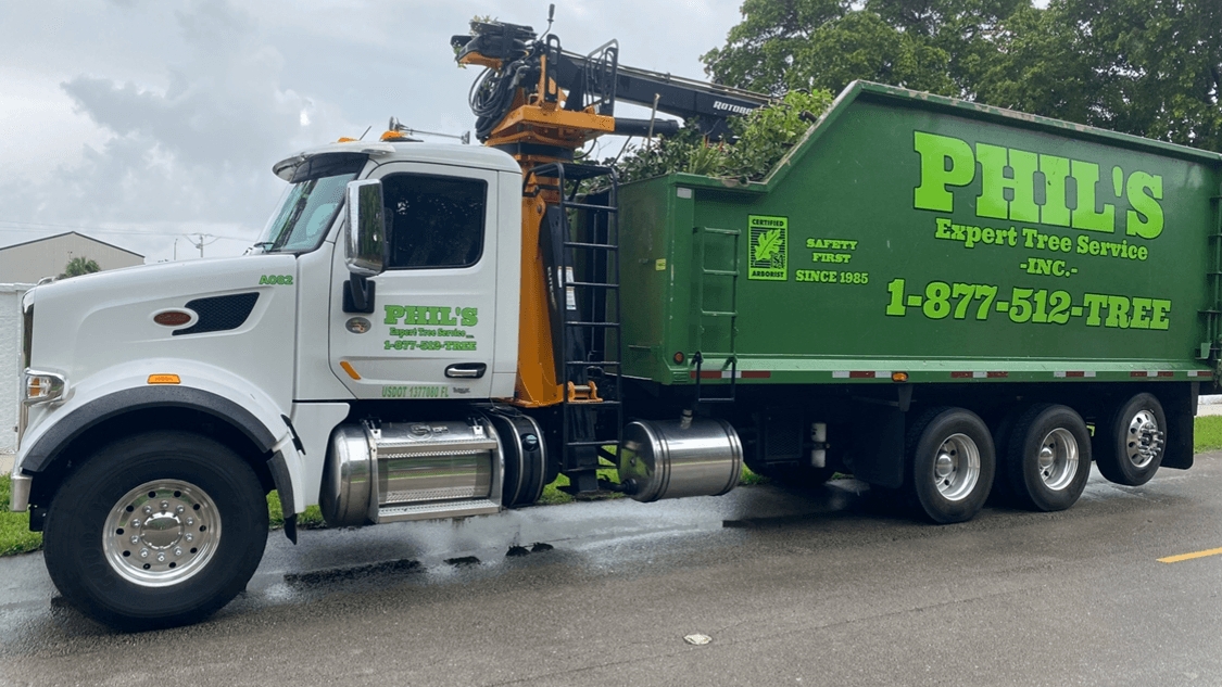 Phil's Expert Tree Service Inc.