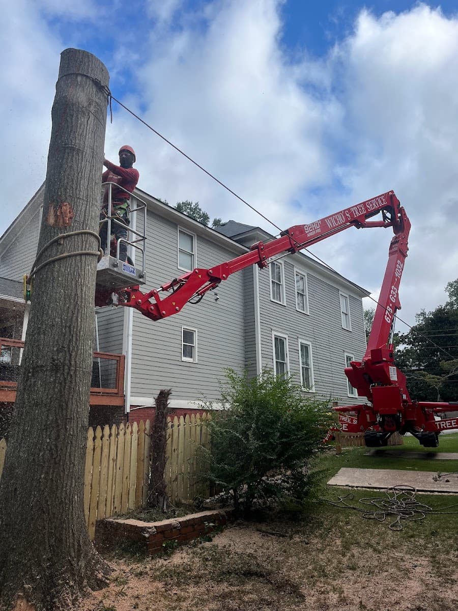 Wichos Tree Service Llc
