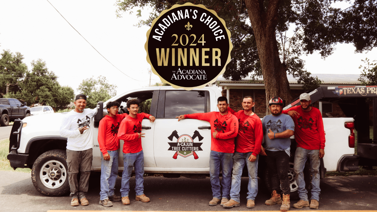 A Cajun Tree Cutters