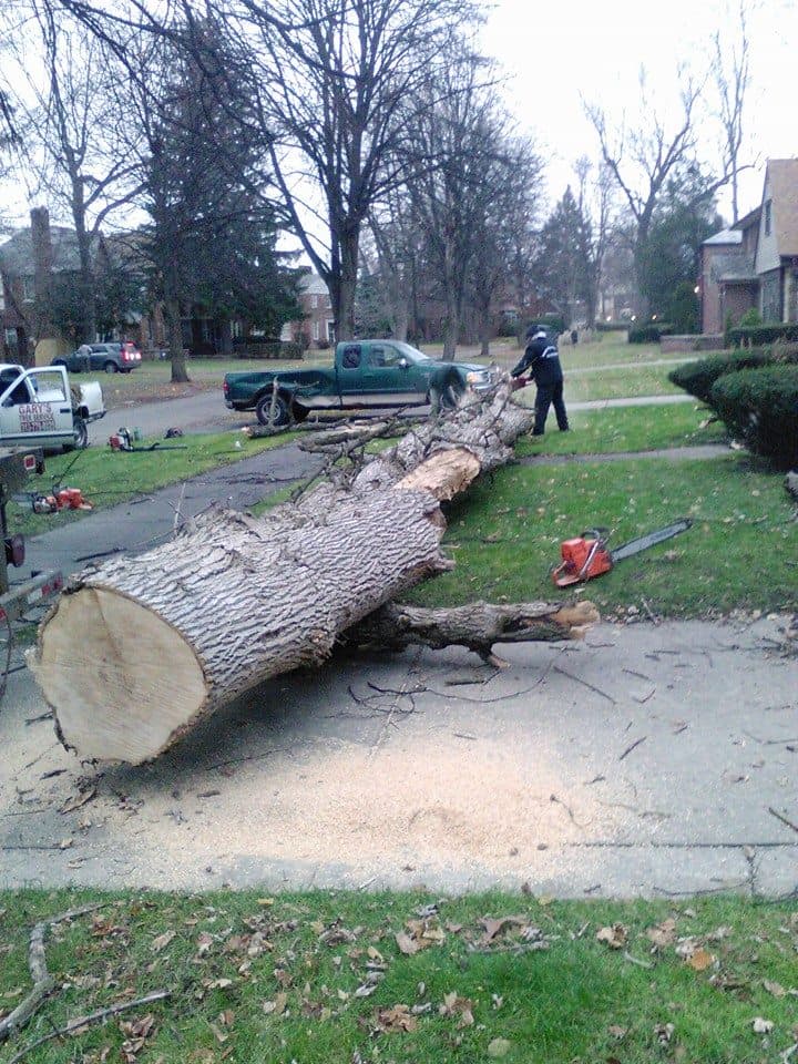 Gary's Tree Services