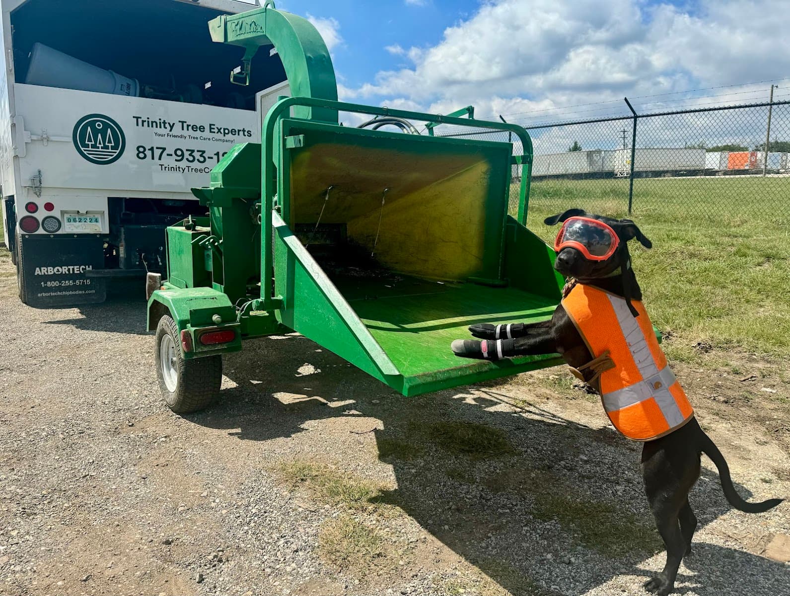 Trinity Tree Expert Company