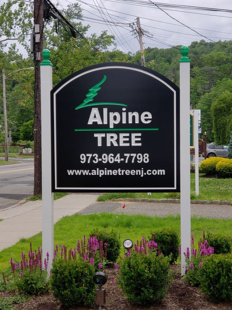 Alpine Tree Service