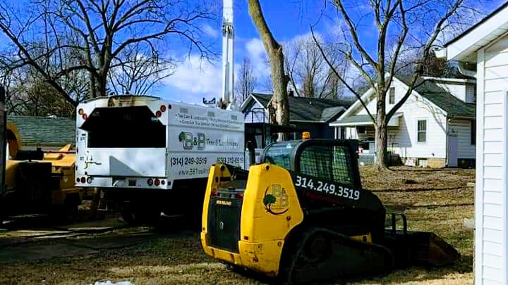 B&B Tree and Landscapes LLC